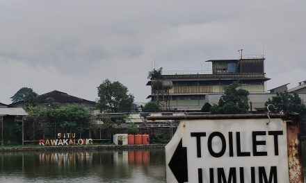 Rawa Kalong Pasca Revitalisasi, Antara Harapan dan Kenyataan