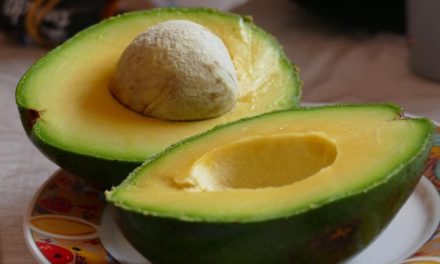 Manfaat Alpukat untuk Kulit Sehat dan Awet Muda