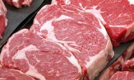 Daging Sengkel, Rahasia Tekstur Kenyal Bakso Urat Favorit