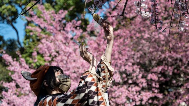 Biaya trip musim sakura Jepang 2026 lebih murah dibandingkan 2025