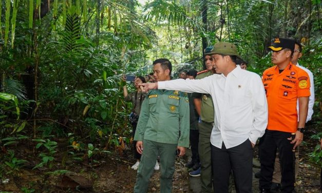 Menhut Dorong Pendanaan Berkelanjutan untuk Taman Nasional