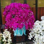 Makna Anggrek Bulan Ungu sebagai Simbol Penghormatan