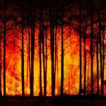 Gelombang Panas Ancam Perburuk Kebakaran Hutan di Perancis dan Spanyol, Ratusan Ribu Warga Mengungsi