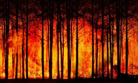 Gelombang Panas Ancam Perburuk Kebakaran Hutan di Perancis dan Spanyol, Ratusan Ribu Warga Mengungsi