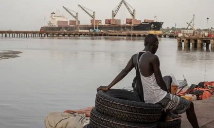 Investasi Negara Teluk di Afrika Kian Besar, Peluang Ekonomi dan Tantangan Baru Mengemuka