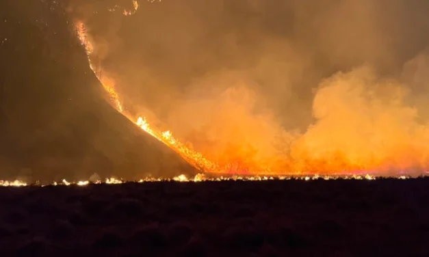 Kebakaran Gunung Bromo Meluas, Seluruh Akses Wisata Ditutup