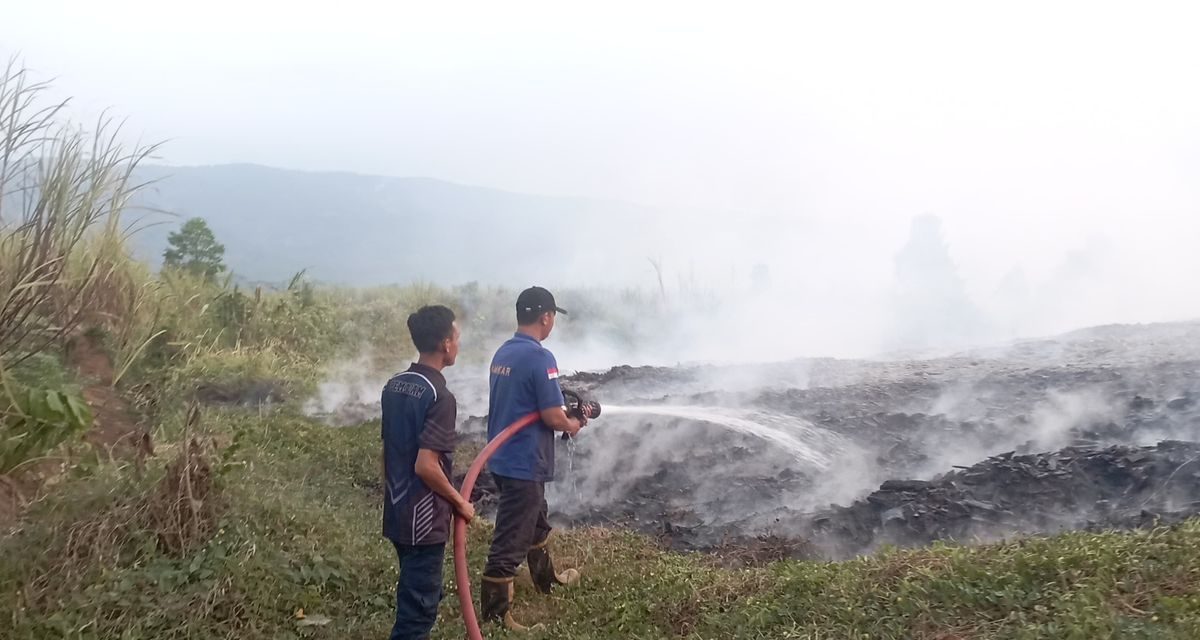 Kebakaran Limbah Kayu di Pekalongan Padam Setelah 6,5 Jam, Damkar Hadapi Medan Sulit