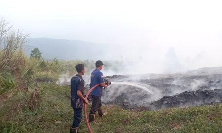 Kebakaran Limbah Kayu di Pekalongan Padam Setelah 6,5 Jam, Damkar Hadapi Medan Sulit