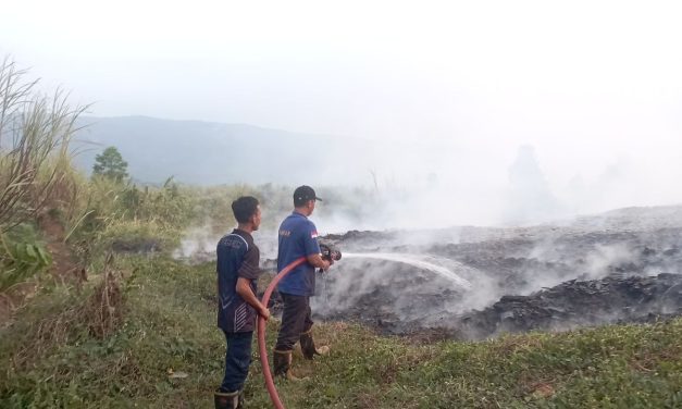 Kebakaran Limbah Kayu di Pekalongan Padam Setelah 6,5 Jam, Damkar Hadapi Medan Sulit