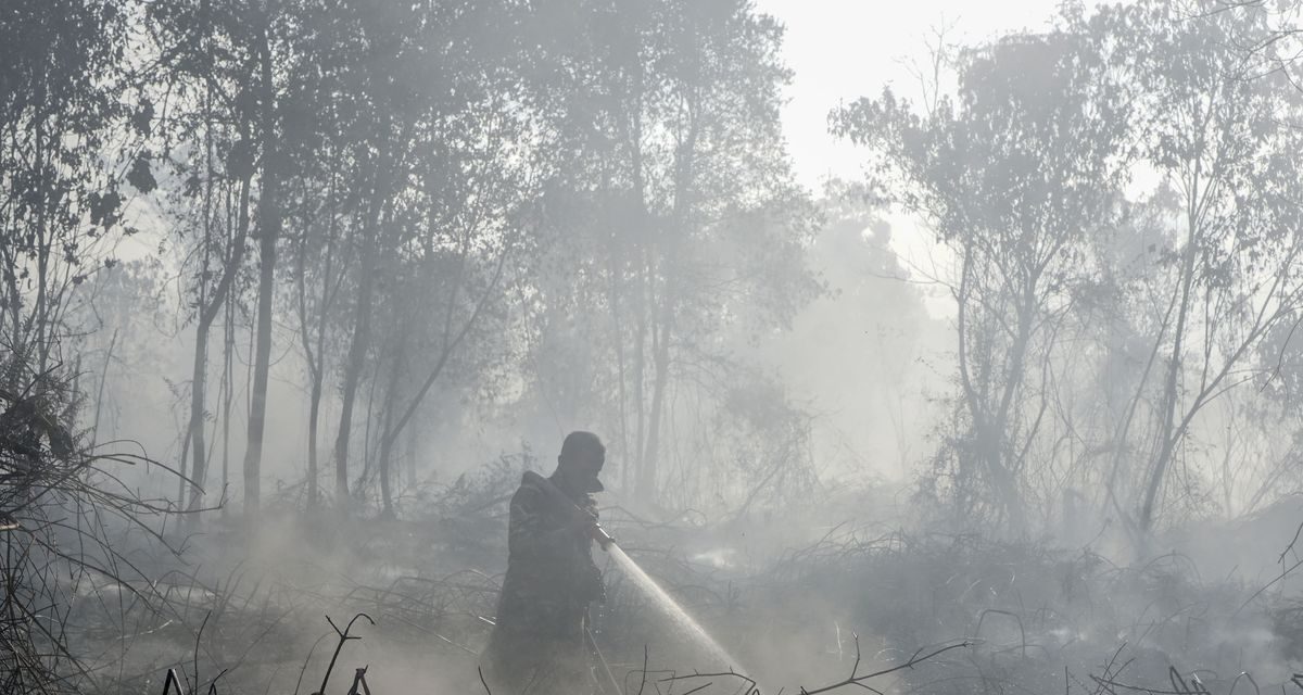 BNPB Ungkap Tantangan Pemadaman Karhutla di Enam Provinsi Prioritas