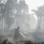 BNPB Ungkap Tantangan Pemadaman Karhutla di Enam Provinsi Prioritas