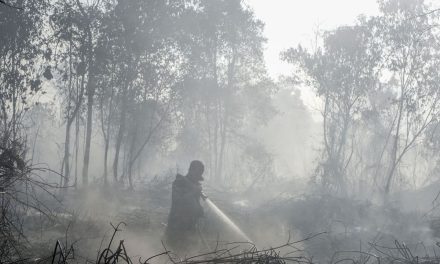 BNPB Ungkap Tantangan Pemadaman Karhutla di Enam Provinsi Prioritas