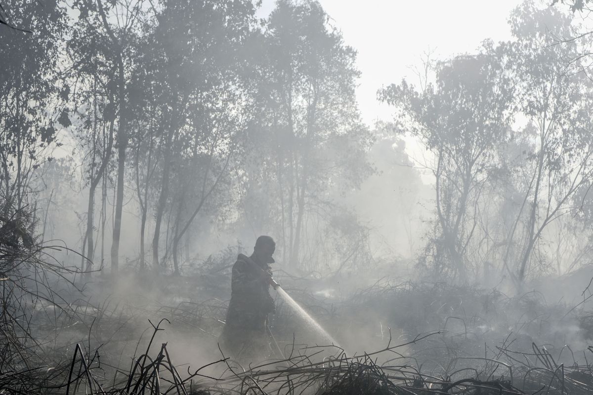 karhutla di enam provinsi prioritas