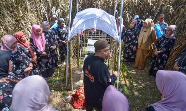 Maatam Tabuik Pariaman Menjadi Simbol Duka Peristiwa Karbala dalam Warisan Budaya Minangkabau