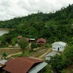 Tradisi Membuka Ladang Dayak Punya Cara Cegah Api Meluas