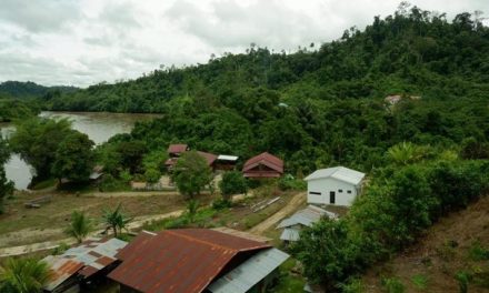 Tradisi Membuka Ladang Dayak Punya Cara Cegah Api Meluas