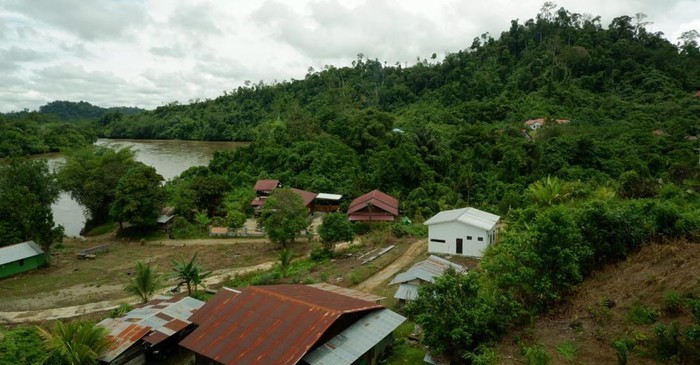Tradisi Membuka Ladang Dayak Punya Cara Cegah Api Meluas